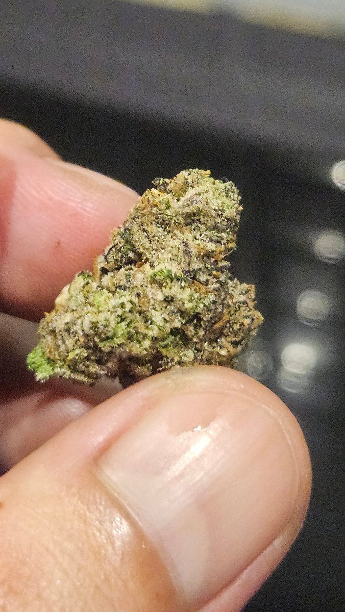 StockGShop1's tweet photo. Indoor topbud 100/150 =1g
50g =6000
100g 9000 
Chiangmai thailand  if want more 50/60=1kg #กัญชากทม #กัญชา #กัญชาออแกนิค #กัญชาราคาถูก #กัญชาเชียงใหม่ #กัญชา 
อัดแท่ง ขีด 900 โล 4500/4000
งานเศษอินดอ อัด https://t.co/eVPtOShNwW
Chiangmai stock g grower cnxx https://t.co/r21zbvockL
