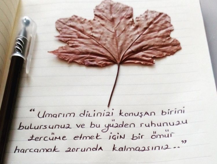 Bazen uykuların kaçar rüyaların bölünür ama, Onunlasın ya bilirsin işte. Onunla birlikte her şey ne kadar da anlam dolu!