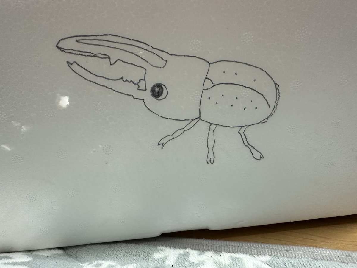kuwanosuke0015's tweet photo. 梱包するのに飽きて絵を描いてしまった。
この箱で届いた方、すいません。。。 https://t.co/1UPE1p14Vg