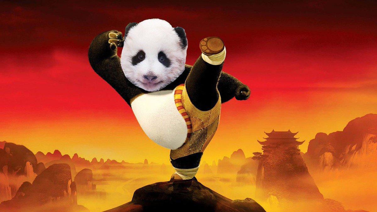 wildcard3456's tweet photo. @Butrr_whale @notthreadguy @MeizhuOfficial Can’t fight $meizhu https://t.co/jds2FV36Zu