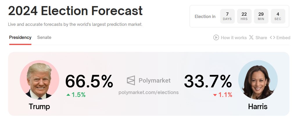 Only 7 days until the election, and you're not bullish?