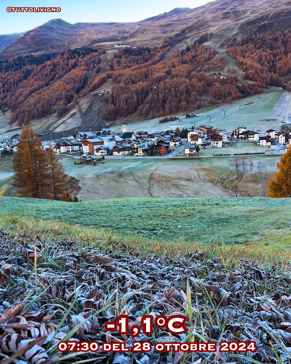 TuttoLivigno's tweet photo. …il segno negativo è il lato positivo di stamattina.   Buongiorno e buon inizio di settimana da Livigno amici, un po’ di brina dopo giorni di “caldo ‘

#livigno #tuttolivigno #sottozero #brina #temperaturalivigno https://t.co/Ufklnr5o0d