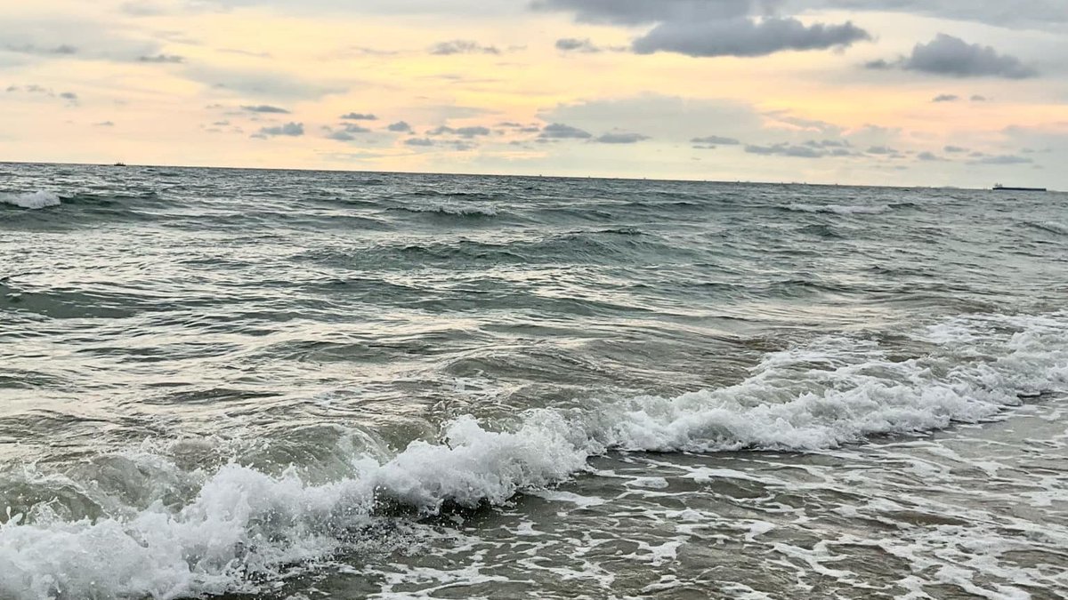 bloomsofmay's tweet image. hoping for more happy days ahead 🗯🥂🧁🌟.ᐟ