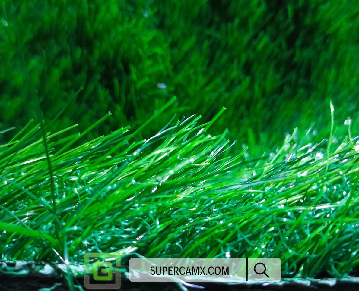 supergrass_llc tweet picture