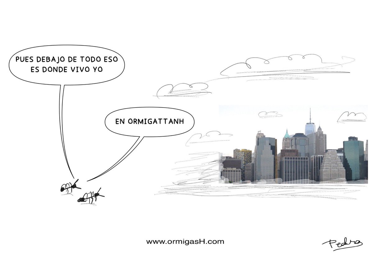 pedroabejas's tweet photo. Viñeta diaria núm. 1.522: “ormigattanH”

“Una viñeta de ormigasH al día 
te devuelve la alegría” https://t.co/1BlMA2RMyC