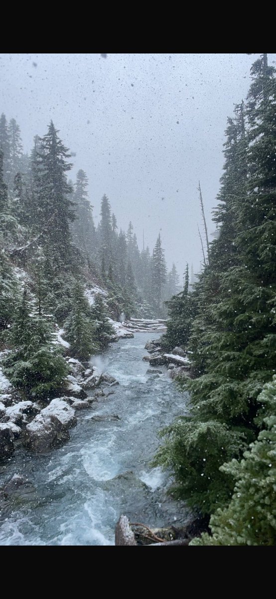 Hidde vd buld tweet media