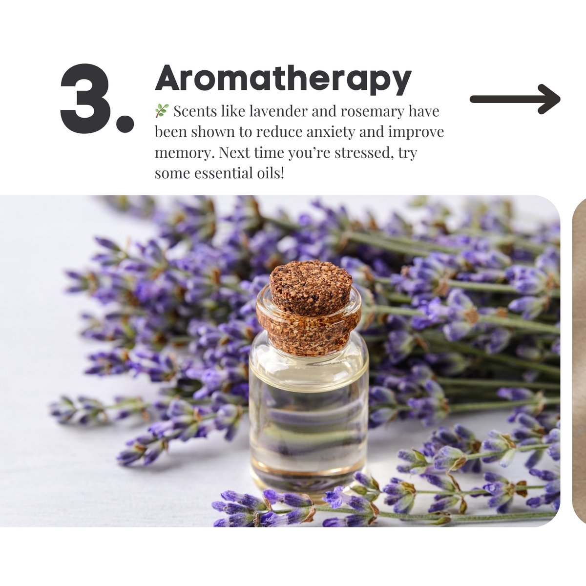 The power of wellness with these unique facts that can uplift your mind, body, and soul! ✨

Embrace a journey towards holistic health with Sattva Nation.

Let’s make wellness a way of life!💚
.
.
#SattvaNation #HolisticWellness #MindBodySoul #WellnessFacts #sattva