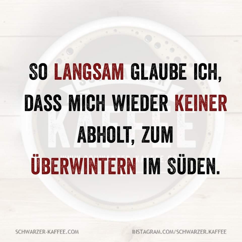 Salome Noire (@salome_noire) on Twitter photo 