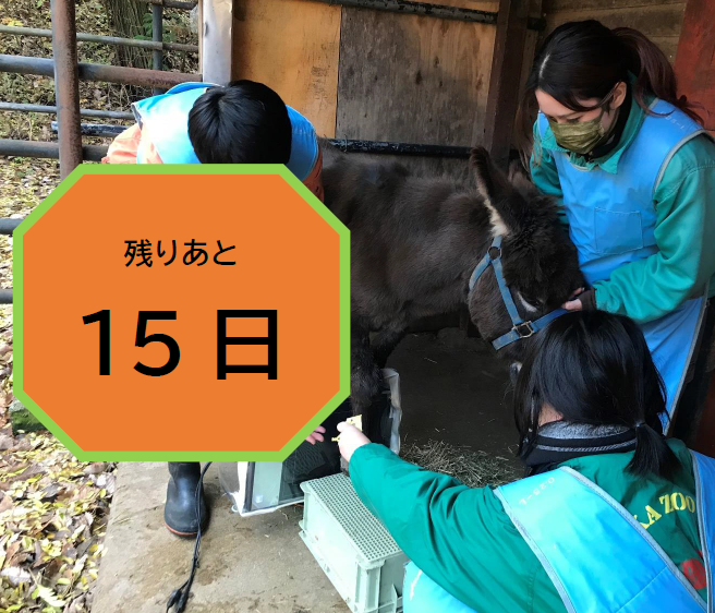 挑戦中のクラウドファンディング型ふるさと納税「動物たちの命を守る！新たな動物病院を作りたい！」終了まで残り15日、人も動物も健康でお互いが幸せに過ごすことができる空間を目指しています。ご支援お願いいたします
furusato-tax.jp/gcf/2982
