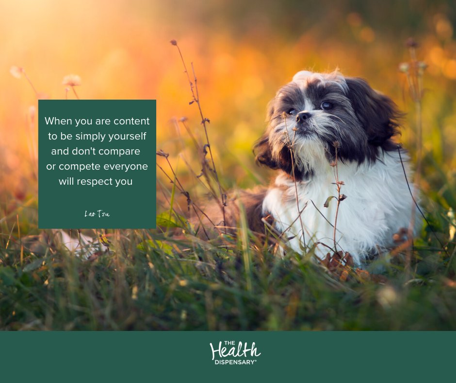 🌞 Rise and shine, it's Monday! ☕️ Fuel up with positivity and let's conquer the world together. #MondayMotivation #PowerOfPositivity 💪🌍