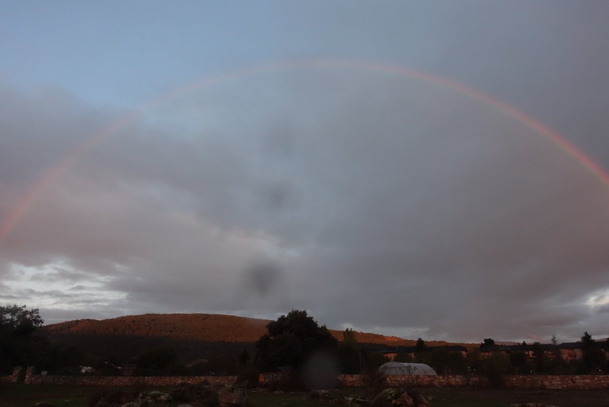 Viajarapie tweet media