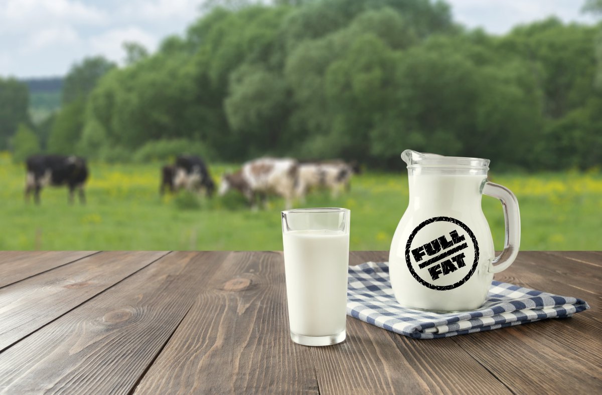 FullFatCasino's tweet photo. Gm,
Have a full and fat start to the week🥛
#CryptoCommunity #CryptoX #BlockchainRevolution #PremiumContentCasino #FFC #MaxRTP #DigitalVIP https://t.co/GDvcuOg4gA