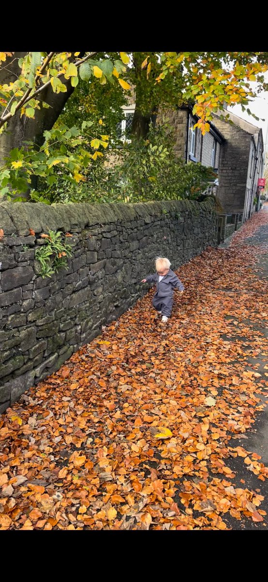 talbot_beth's tweet photo. Autumn 🍂🤍 https://t.co/17oBQV20E4