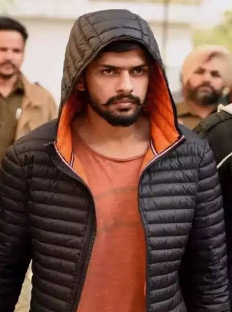 ANIL tweet media