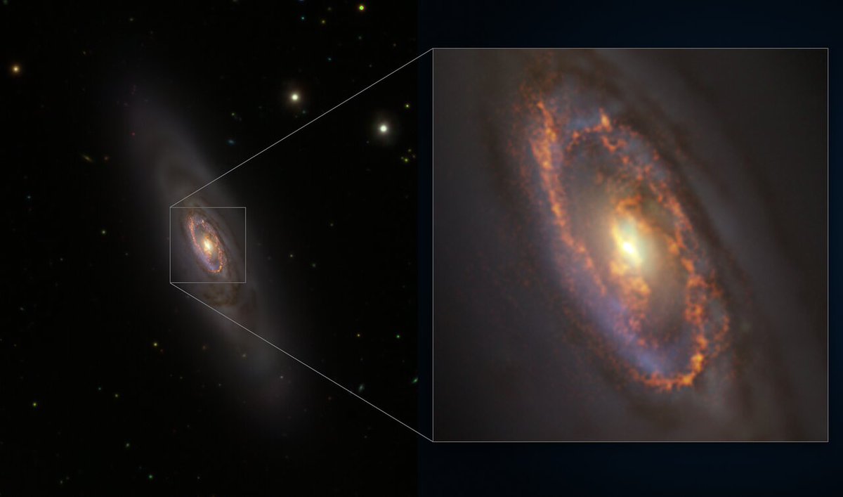 Das neue ESO-Bild der Woche: mit ALMA und dem VLT Survey Telescope auf der Spur der Sternentstehung in der Spiralgalaxie NGC 1386
📷 ESO/ALMA (ESO/NAOJ/NRAO)/A. Prieto et al./Fornax Deep Survey
eso.org/public/germany…