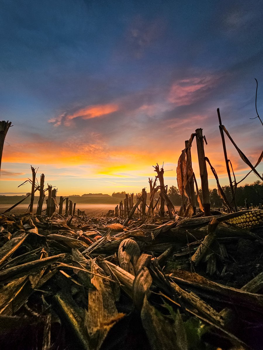 Levé de soleil sur la campagne Bressane 🌞☀️😉 <a href="/Departement_AIN/">Département de l'Ain</a> <a href="/aintourisme01/">Aintourisme</a> #photo #sunset #paysage #agricultura #agriculture