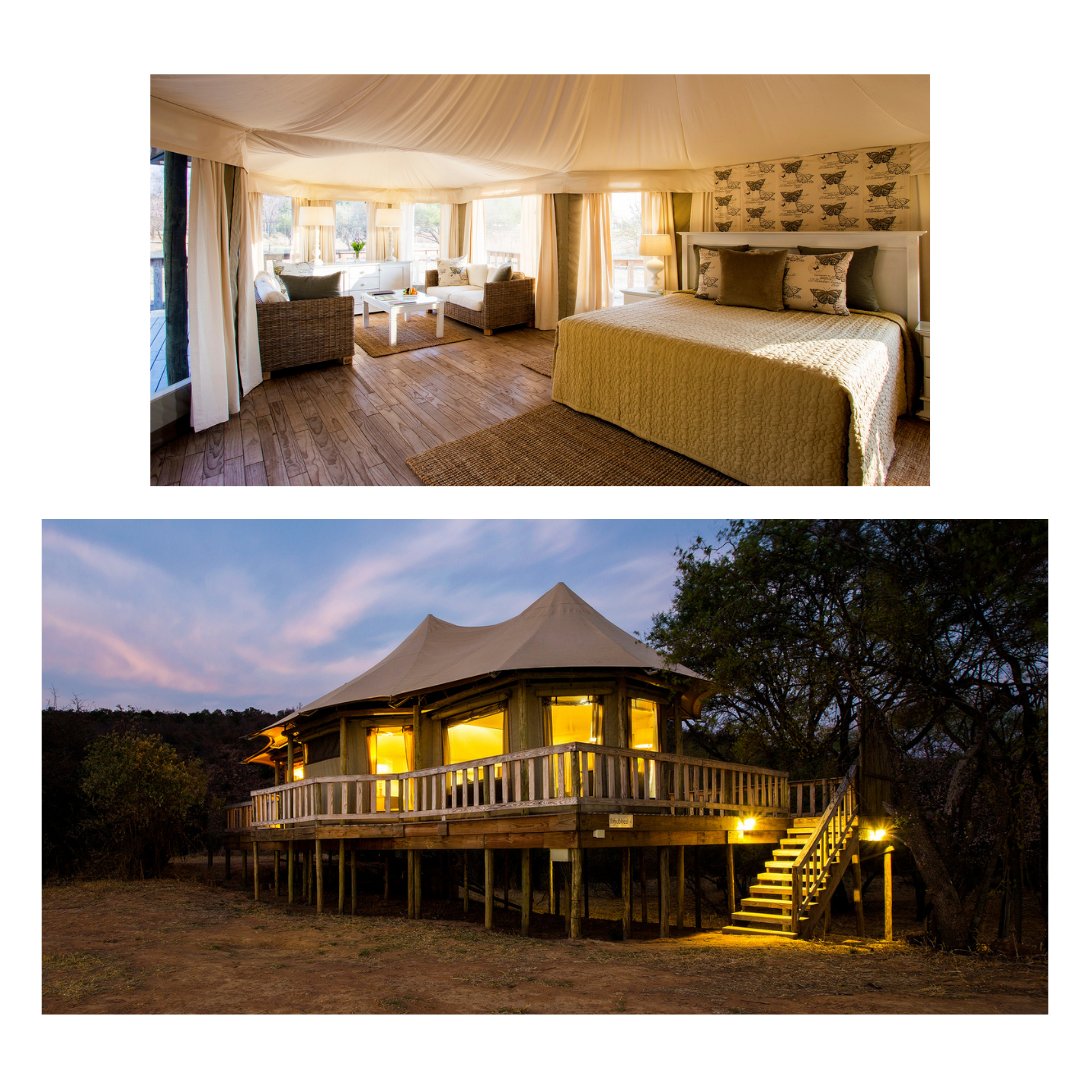 A little reminder....
Treat yourself and a loved one to a rejuvenating 2-night
getaway! 🌿

🏡 Prestige Rooms – R3,031 🏕️ Luxury Tents &amp; Suites
– R4,223

Valid from 1 Oct - 15 Dec!
#SummerGetaway #LeeuwenhofLodge
#RelaxAndRecharge #LuxuryEscape