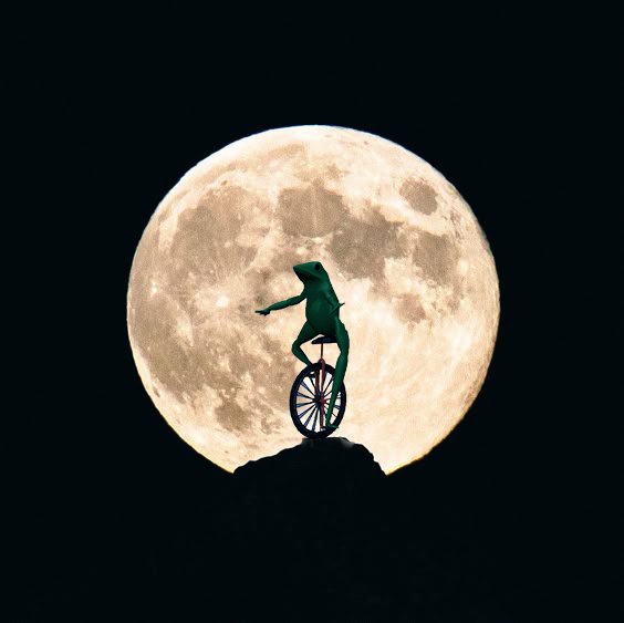 datboicto's tweet photo. $datboi moons when you least expect https://t.co/P4LSX3j6dy