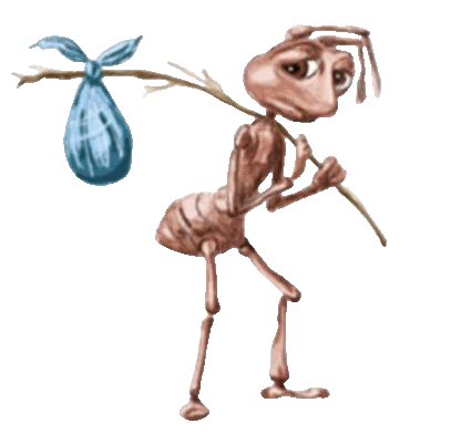 Gender Affirming Blinker tweet media