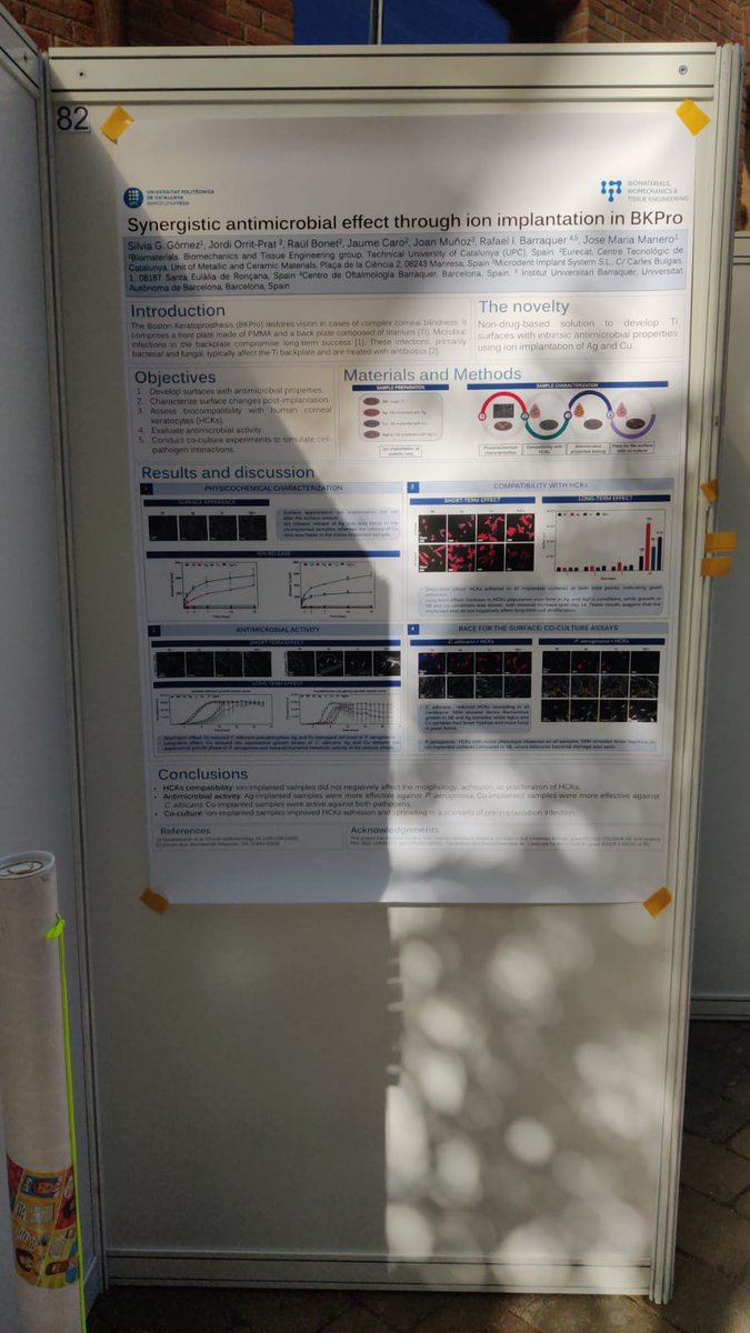 BiomaterialsUPC's tweet photo. PhD student Silvia Gómez (@Silvia2Go) presented her work on "Synergistic Antimicrobial Effects through Ion Implantation in Boston Keratoprosthesis", in collaboration with @centrobarraquer, at the 17th @IBECBarcelona Symposium, held in Bcn on October 21-22th, 2024 https://t.co/65e5XQt9YO