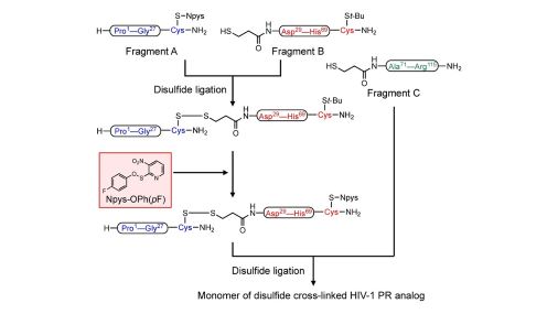 CSJjournals_jp's tweet photo. Chemical #ProteinSynthesis , 4-Fluorophenyl 3-nitro-2-pyridinesulfenate (Npys-OPh(pF)), #Disulfide ligation
Article by Dr. Akihiro Taguchi and Prof. Yoshio Hayashi @toyaku_univ_pr (Tokyo University of Pharmacy and Life Sciences)
#Chemistry
https://t.co/Z8YAYTyLzk https://t.co/s4RBGNwUpS