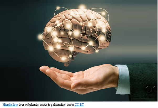 ZenzileLife's tweet photo. Enhancing Emotional Regulation in Daily Life
For more information about this, read our blog at:
https://t.co/ktGpO3AJr5 

Verbetering van emosionele regulering in die daaglikse lewe
Vir meer inligting, lees ons blog by:
https://t.co/QKjFn0wjbq https://t.co/TPno0cVR0R