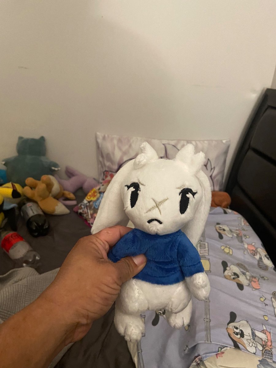 Scootadrew's tweet photo. @lordboop 

Sue arrived safely thanks so much https://t.co/Kj0A7byrXg