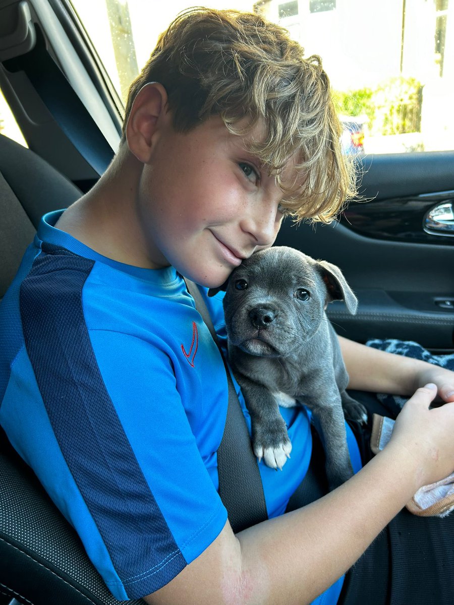 Steve Prior tweet media