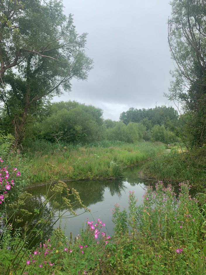 A lovely photo from our Somerset Advisor, Steve Price. This pond at Sandy Glade Holiday Park is home to Kingfishers that use the surrounding ditch network to forage for small fish. #BellamyPledge #BHHPA