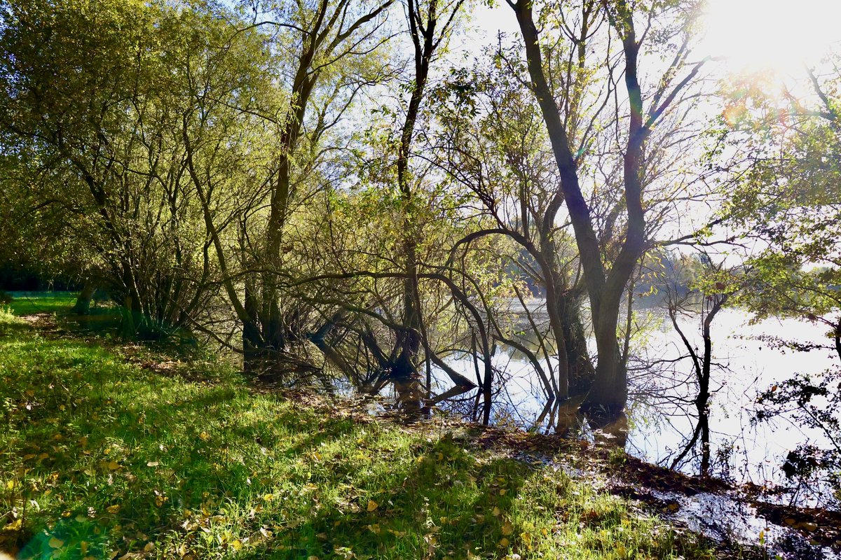 The Fens tweet media