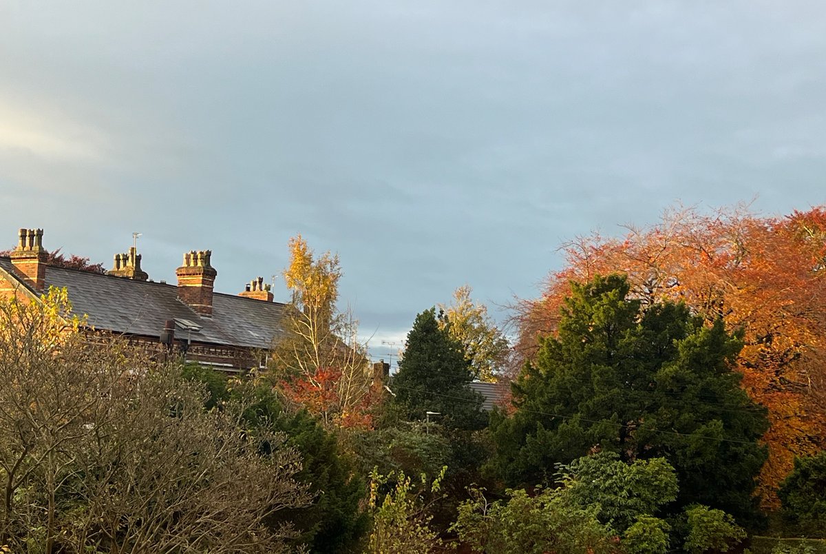 I love this time of year.