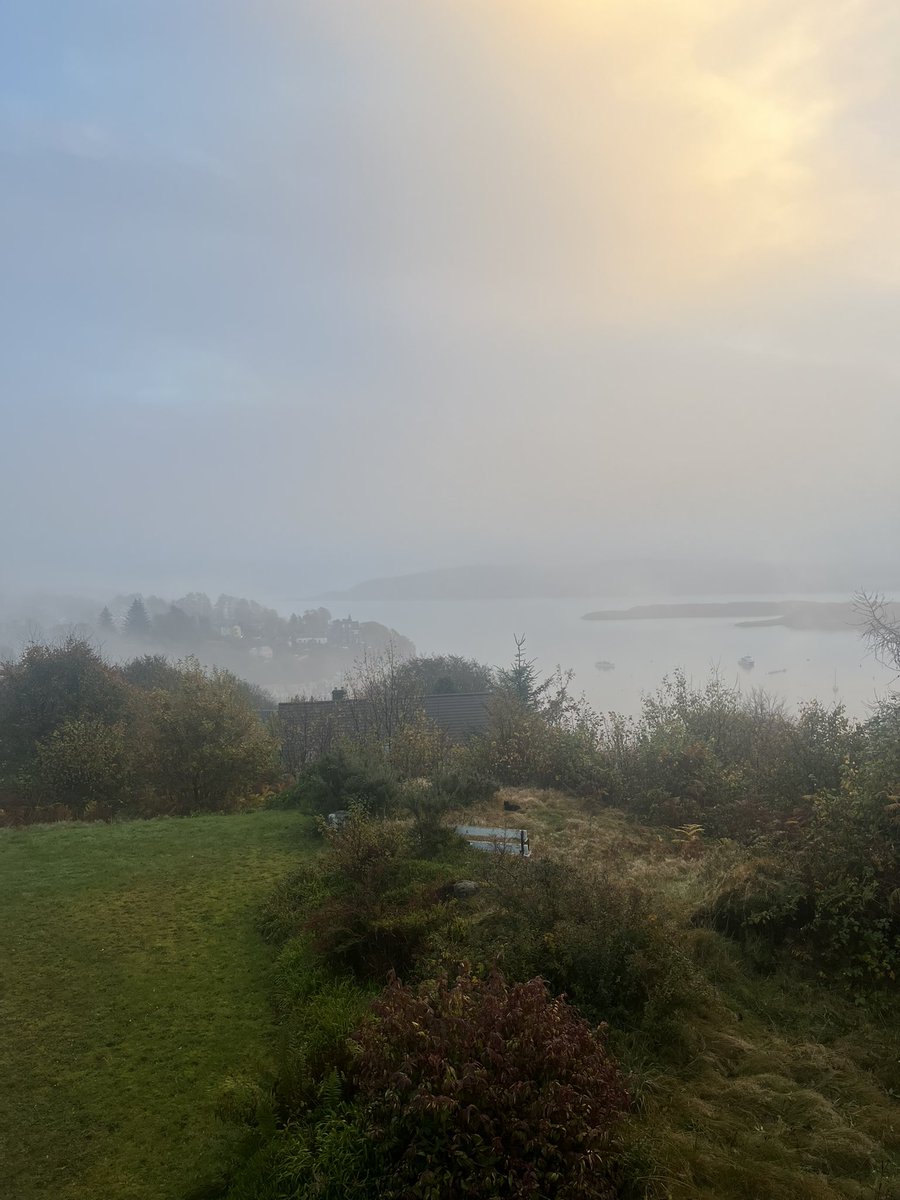 Cobblers tweet media