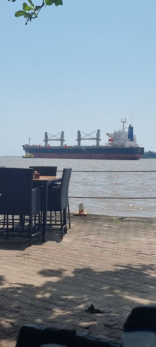 For years, I have sat at this table and looked at ships come in and leave the ports. Whilst the number of ships in our harbour has greatly reduced, Watching a ship leave a country populated by 200million people, EMPTY is extremely painful.

Not only does this contribute to the