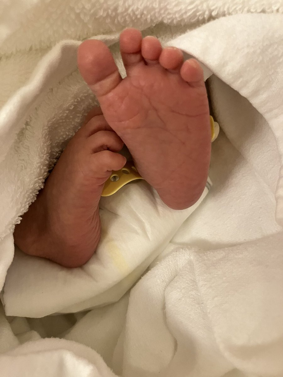 LooooveK's tweet photo. 2024.10.25（Fri）　2674gの元気な
女の子を出産しました👶

計画無痛分娩で本当に陣痛の痛みなく
終始リラックスしたお産でした。

毎日新生児の匂いとかわいさに
癒されてます☺️♡ https://t.co/uZbLUozA7S