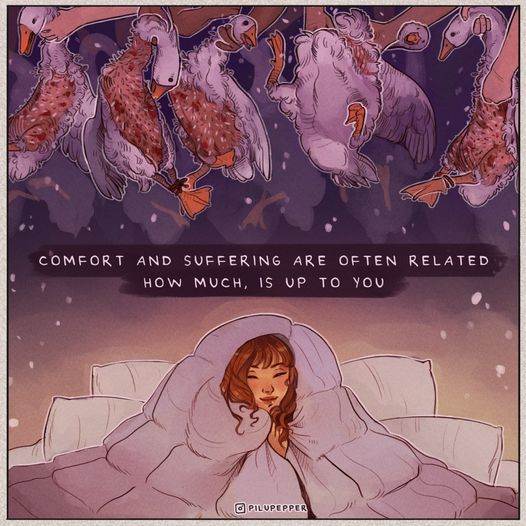 herbivore_club's tweet photo. Sleep peacefully knowing your pillows aren't filled with cruelty. Feathers belong on birds, not stuffed into bedding. #DitchDown

🎨 Pilupepper https://t.co/a6xPK07bLO
