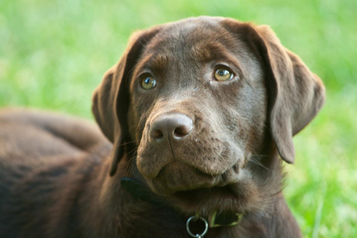 Sahil Chopra tweet media