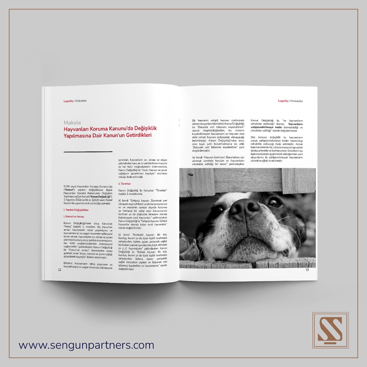 Şengün Akademi olarak Ağustos - Eylül 2024 bültenimizde yer alan "Hayvanları Koruma Kanunu’nda Değişiklik Yapılmasına Dair Kanun’un Getirdikleri" başlıklı makaleyi ilginize sunmaktan mutluluk duyuyoruz. 

Makalenin tamamını okumak için: sengunpartners.com/bulten/legalit…