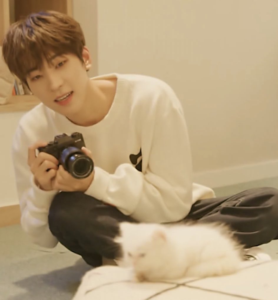 wwoo_of's tweet photo. 이거 진짜 내가 좋아해 ..🧎🏻‍♀️
원우 카메라 고양이 조합 어떻게 참음 https://t.co/XefBoTIbAI