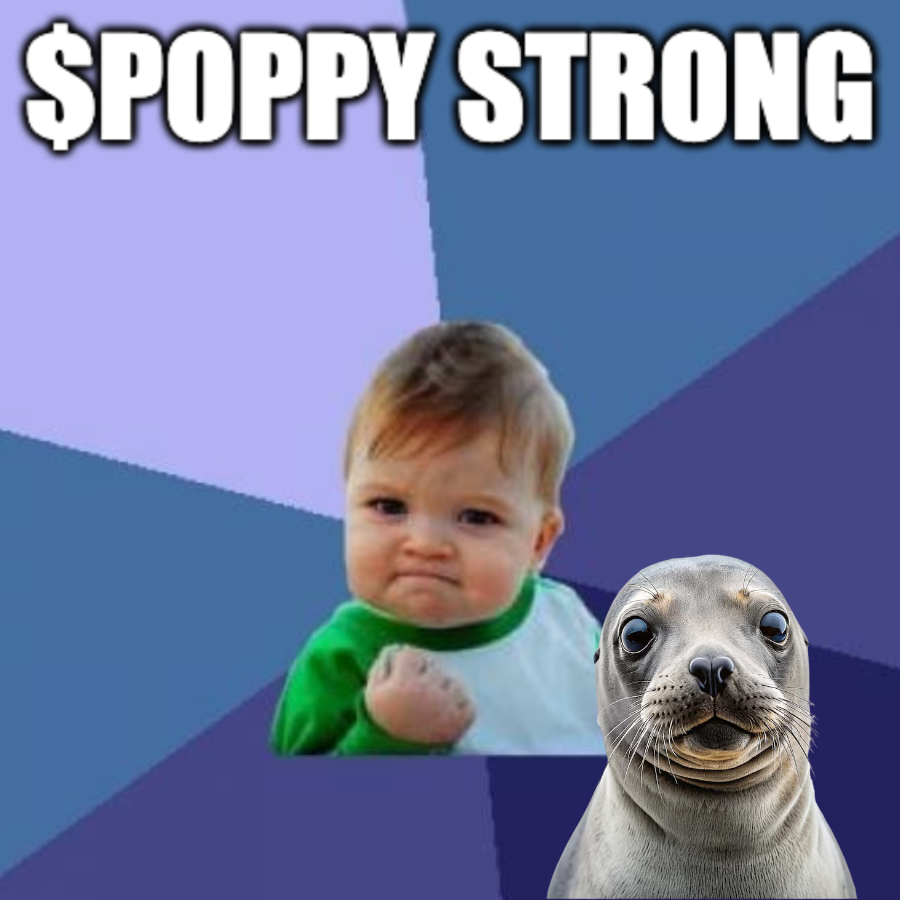 poppyonsui's tweet photo. $POPPPY strong and you? 🦭💎🙌

https://t.co/5RDSZ8WefG

#POPPY #SUI #MEMECULT #CULT #MOVEPUMP https://t.co/cHEnUY714e