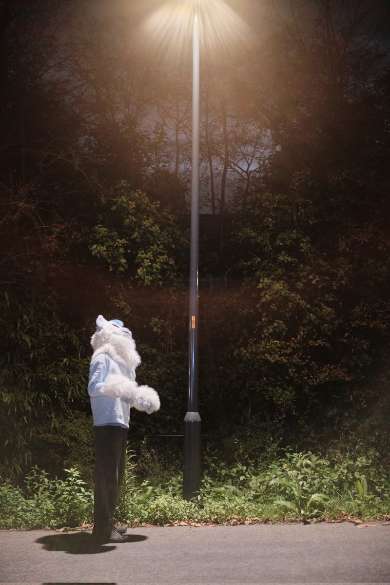 gibafur's tweet image. Countdown continuous.... 3 days to #Halloween 

And still haven't found any ghosts! 👻 
You think they might be hiding in this mysterious light?

📸 @Refoofle