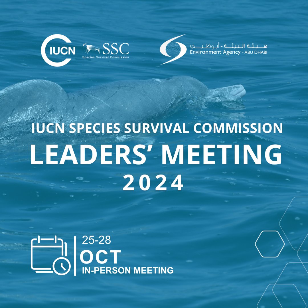 This October, conservation leaders from around the world will gather in Abu Dhabi for the 5th IUCN SSC Leaders' Meeting! 300 experts, 120+ sessions, all focused on driving impactful conservation efforts. 🔗
#SSCLeadersMeeting2024

#WeAreSSC