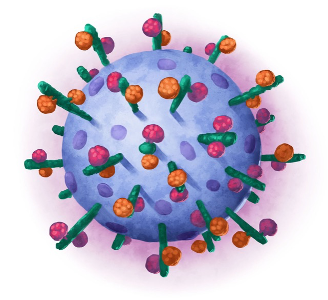 CEPIvaccines's tweet photo. 📣 CEPI has awarded up to US$1 million to Swedish biotech Abera Biosciences to test whether their bacterial-based platform could strengthen intranasal vaccines being developed to protect against epidemic and pandemic threats. https://t.co/5ThopGjSrj https://t.co/5kjeYGTsy3