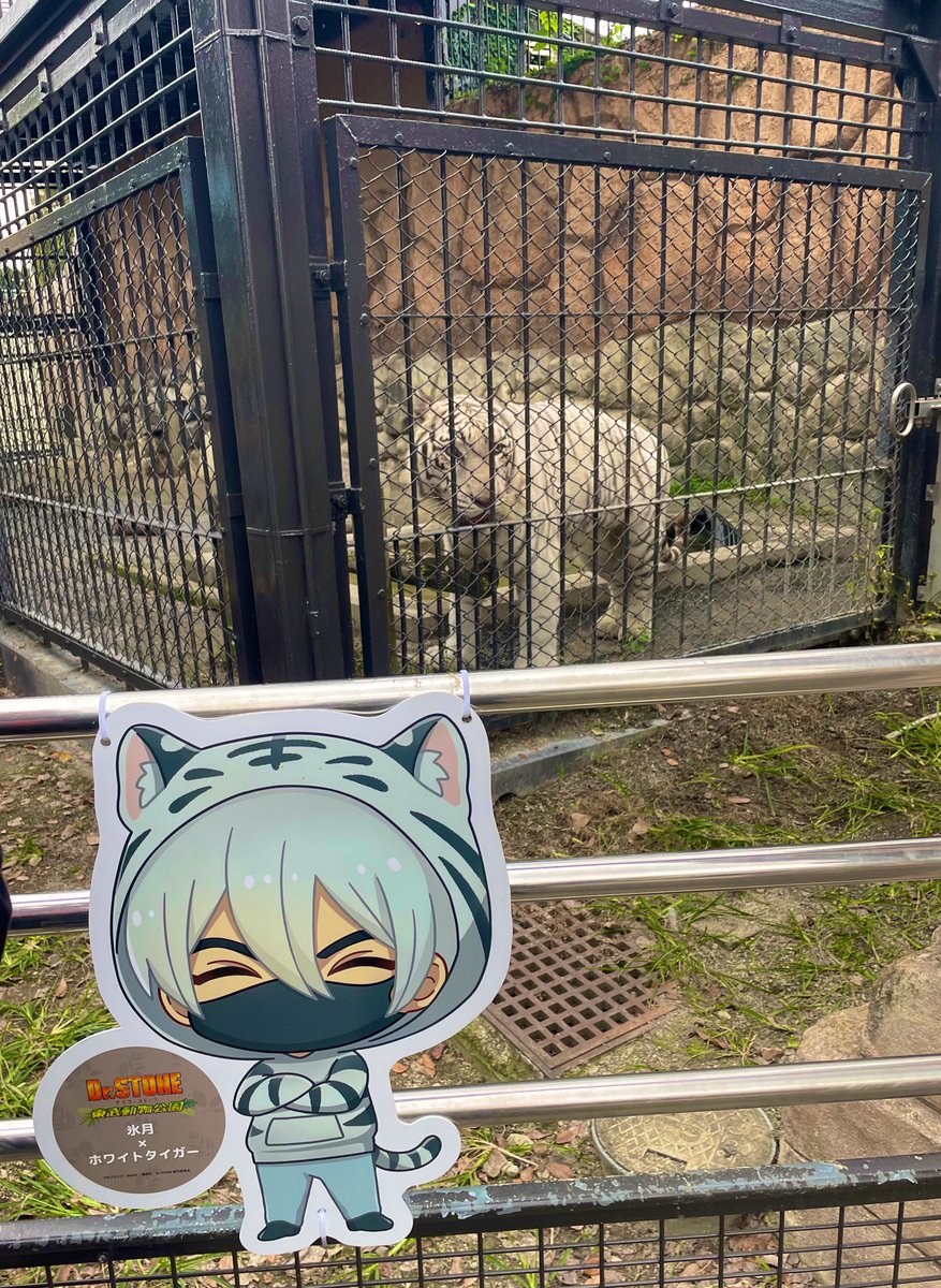 biologystone's tweet photo. 東武公コラボ行ってきました〜
こういう系初めて参加したけど楽しかった！
動物とのツーショ撮れると嬉しいね〜☺️
メデューサ撃ちゲーム全然無理だった😉💫 https://t.co/sQV36pae4s