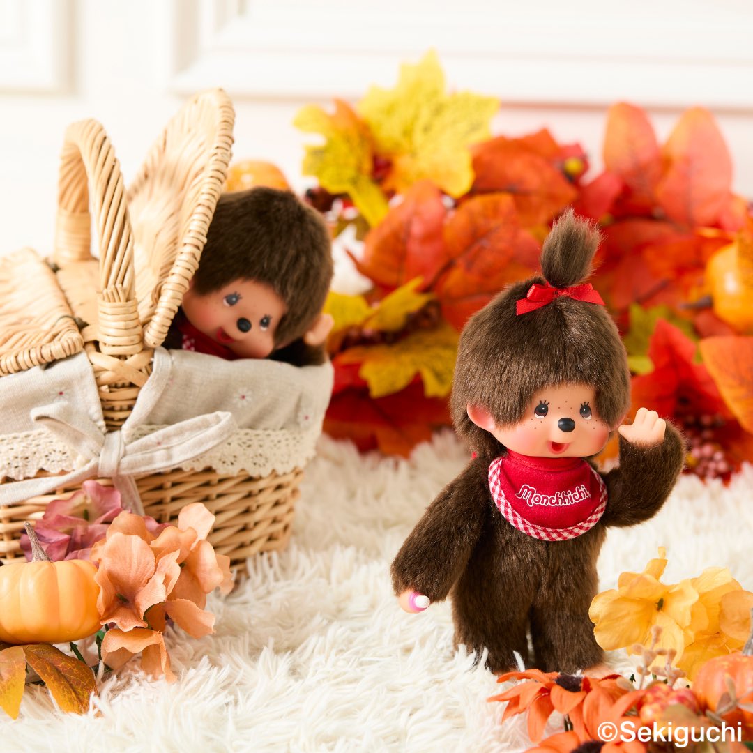ハロウィン #ぬい撮り おやおや、モンチッチちゃんがモンチッチくんを