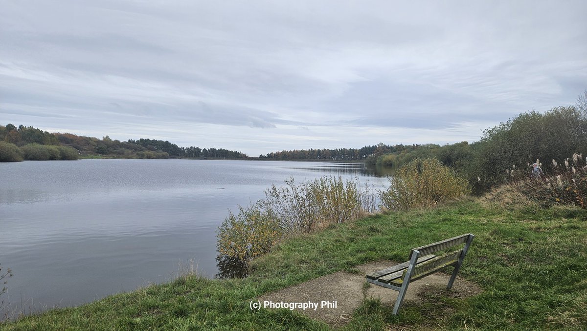 Photography Phil tweet media