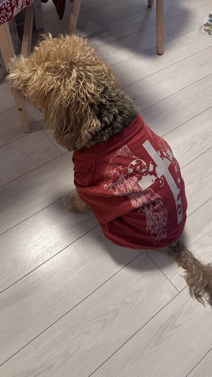 8j_cne's tweet photo. ぴったり👕🐶
#HYDEINSIDE2024EXTRA 
#HYDE https://t.co/a2Qe6Da4nU