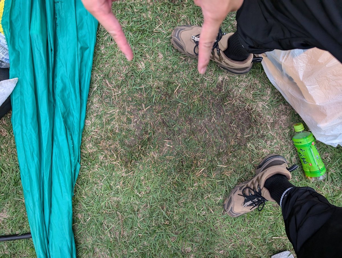 iamchoristyle's tweet photo. 雑草が黒くなるほどガチ飛び＆応援した藤枝戦。ゴール裏の傾斜のせいか足全体の筋肉痛がいまだ治らず、痛風の人みたいな歩き方で出社しました。 https://t.co/oHUPPWaawB