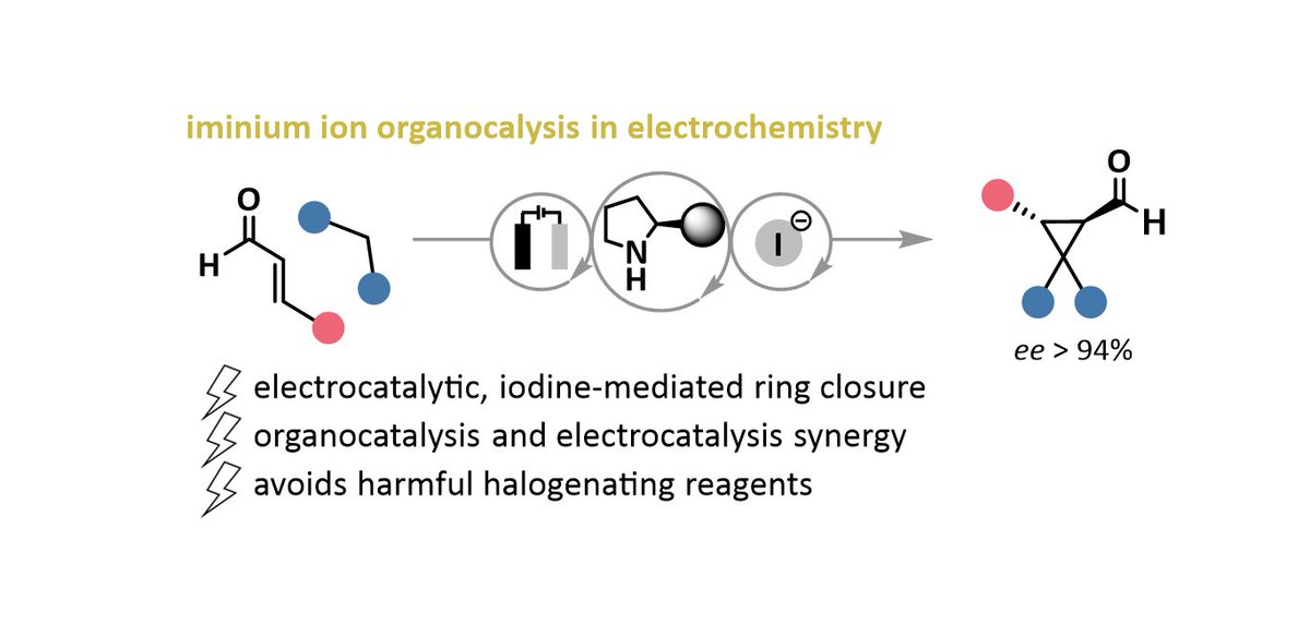 Maksim Ošeka (@maksimoseka) on Twitter photo Electrochemistry ⚡️ and 🍀 asymmetric iminium ion catalysis? Yes, you can!!!
This project combines my PhD and postdoc backgrounds, making it very special to me.
Great job by Nastya <a href="/betterlessthen1/">anastasiya krech</a> and Margo <a href="/MargoIskrik/">Margo Lakcievič-Iskryk</a>!
pubs.rsc.org/en/content/art… Electrochemistry ⚡️ and 🍀 asymmetric iminium ion catalysis? Yes, you can!!!
This project combines my PhD and postdoc backgrounds, making it very special to me.
Great job by Nastya <a href="/betterlessthen1/">anastasiya krech</a> and Margo <a href="/MargoIskrik/">Margo Lakcievič-Iskryk</a>!
pubs.rsc.org/en/content/art…