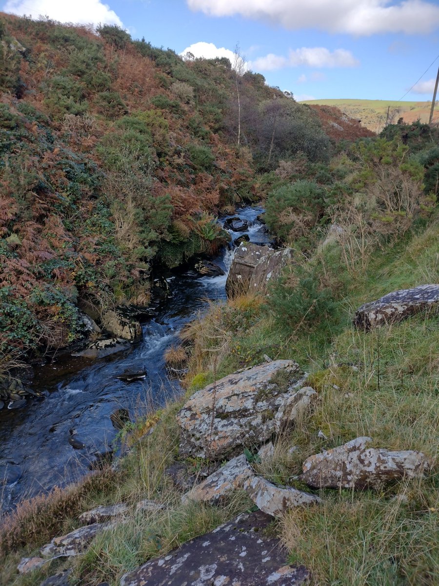 Chris Hall - SALT tweet media