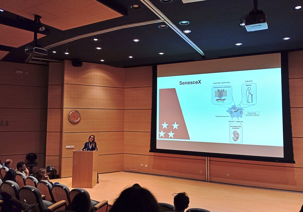 What an exciting day! First workshop
<a href="/SenesceX/">SenesceX</a> at <a href="/CNIOStopCancer/">CNIO Stop Cancer</a>
